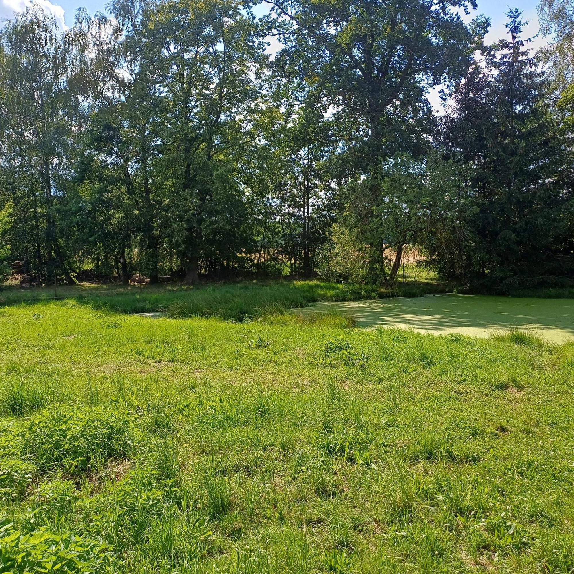 Apartmán Statek U Spulaka Lomnice nad Lužnicí Exteriér fotografie